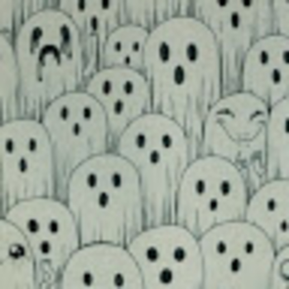 Meet your Posher, Kate